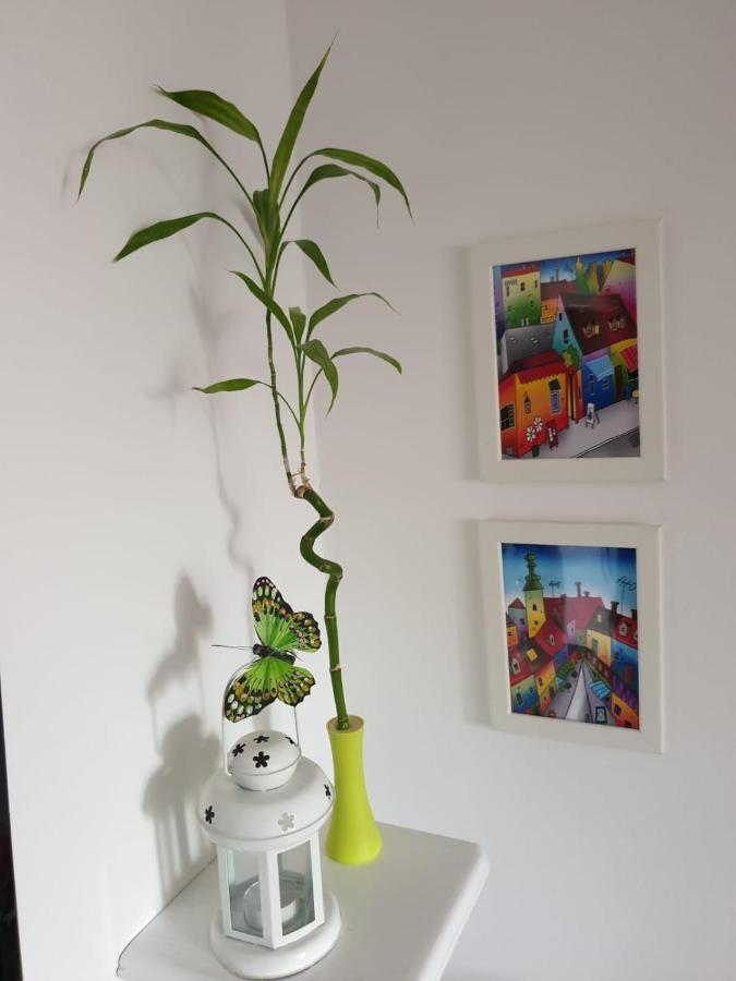 Apartment Mickey Mouse & Studio Mini