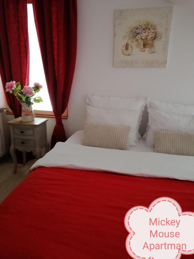 Mickey Mouse & Studio Mini Apartment *
